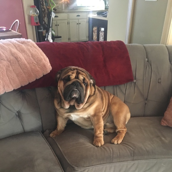 Meet your Posher, Melissa - Picture 2 of 2